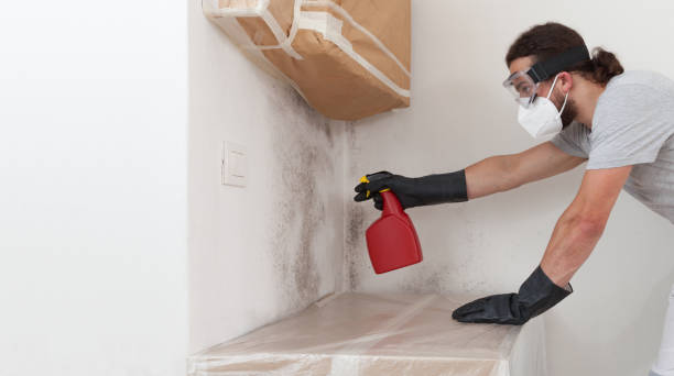 Professional Mold Cleanup technician working in Port Jefferson, NY