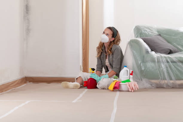 Reliable Mold Cleanup contractor in Port Jefferson, NY by Cheap Mold Removal
